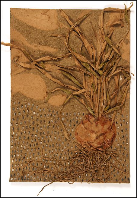 서울대 합격생 포트폴리오   