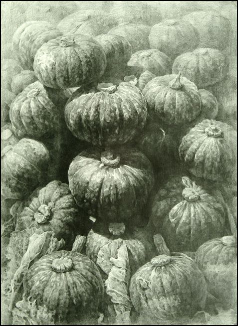 서울대 포트폴리오  