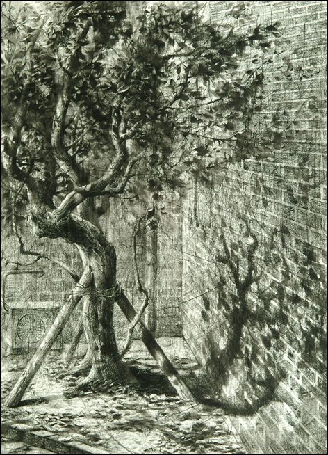 서울대 포트폴리오  