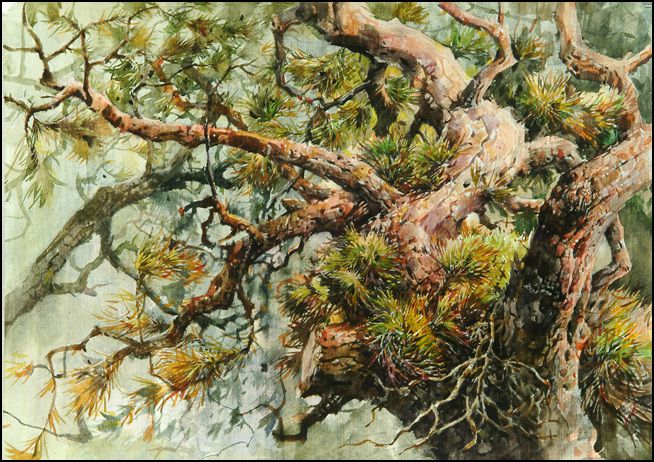 서울대 포트폴리오 