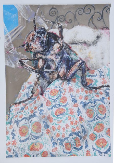 서울대 포트폴리오