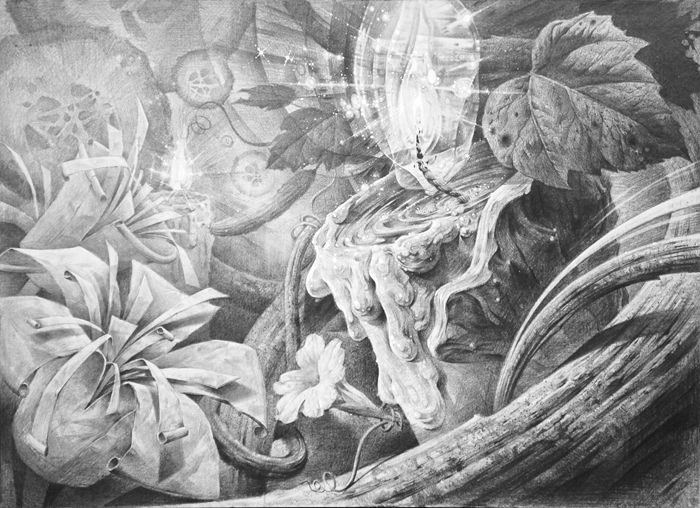 고려대 디자인 자유표현유형