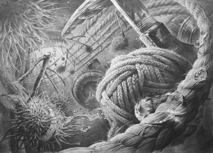 고려대 디자인 자유표현유형