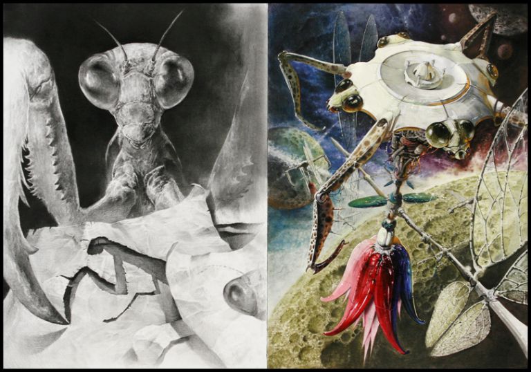 A4용지에 그려진 사마귀를 자유롭게구성하여 드로잉표현하고 사마귀의 형태적 특징을 이용하여기능성있는 조형물을 상상하여표현하시오