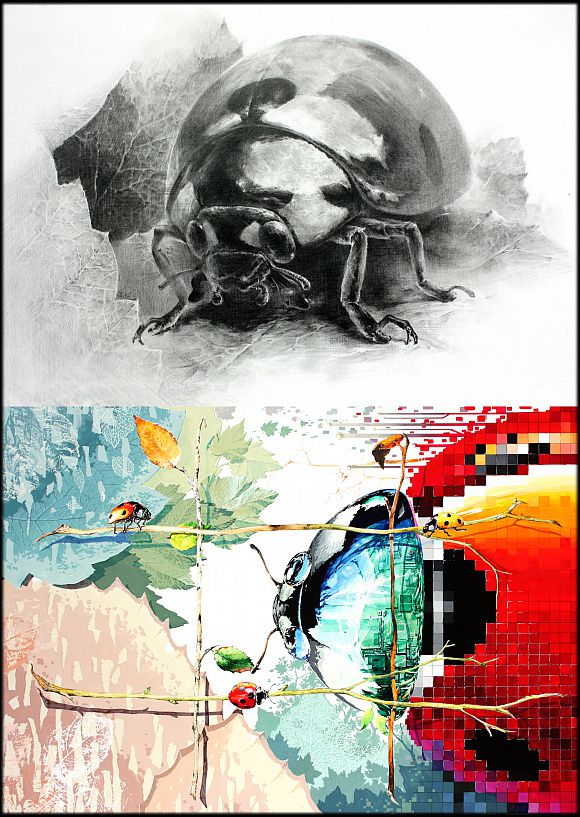 홍대 사고의 전환 연구작