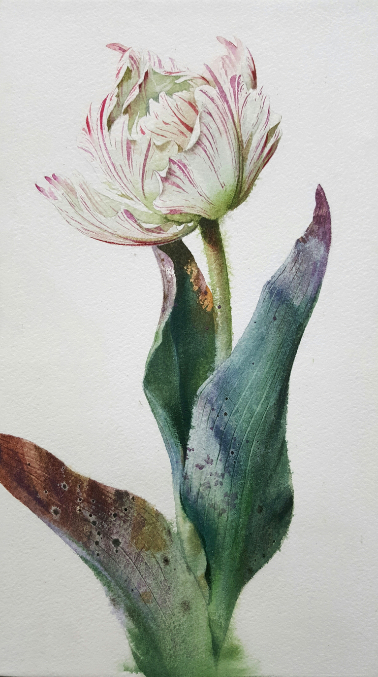 장지원 수채화 작품 2020