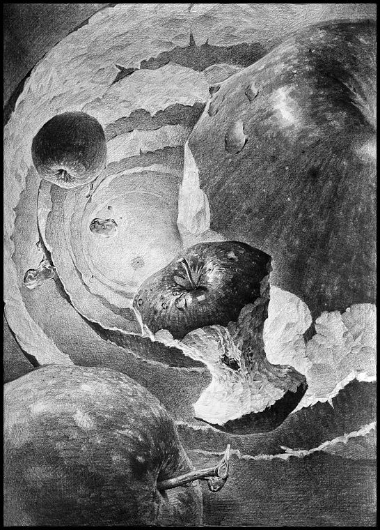 사과를 이용한 공간구성