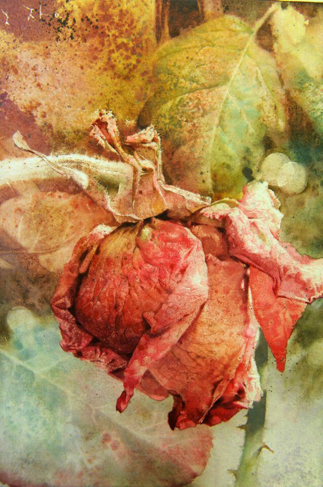 수채화가 장지원선생님작품수채화 