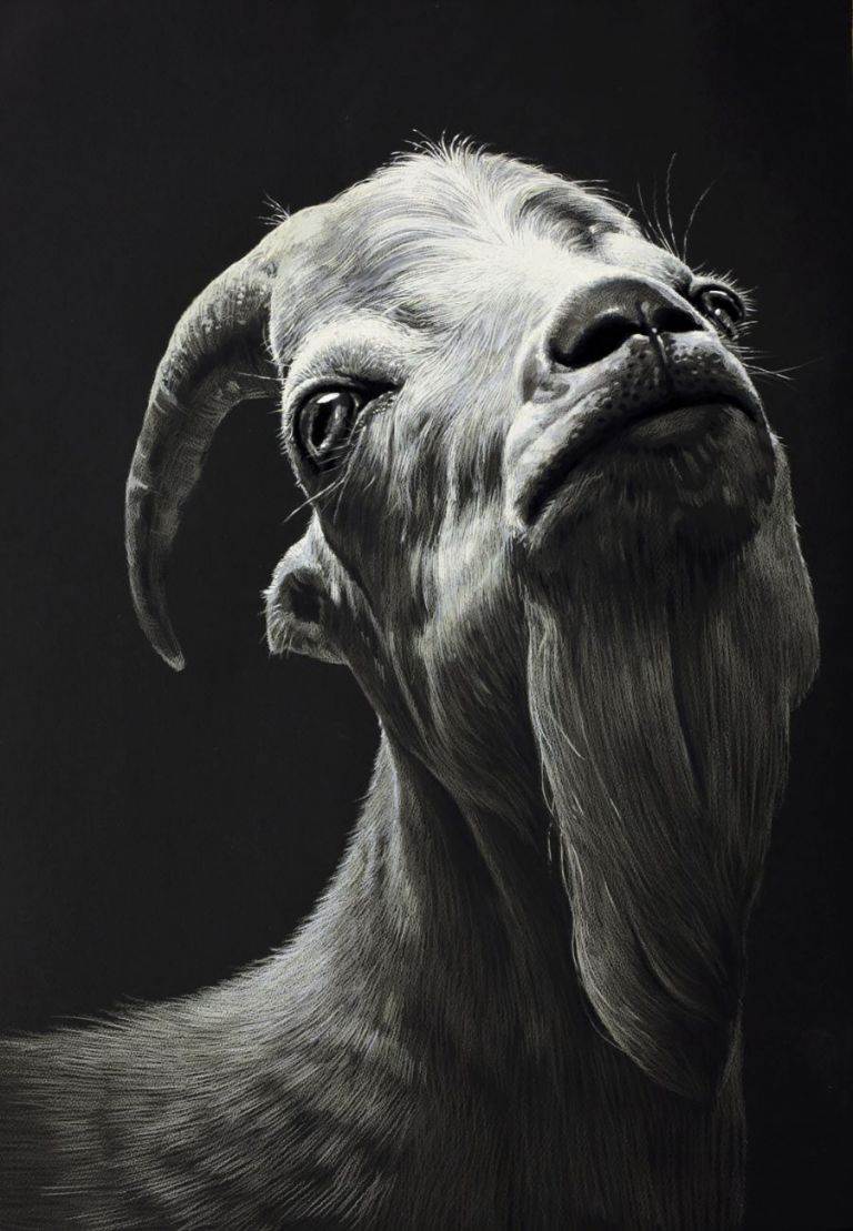 울산장지원그린섬미술학원 스페셜갤러리-표현기법