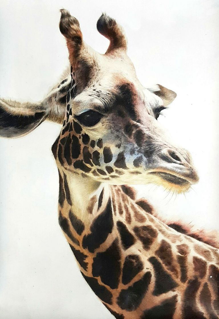 울산장지원그린섬미술학원 스페셜갤러리-표현기법