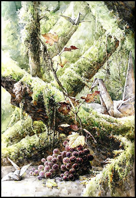 홍익대 사진+정물