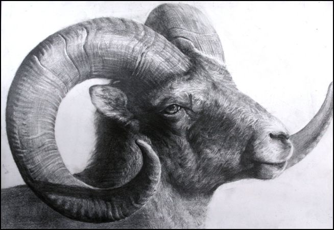 이미지드로잉(사고의전환)