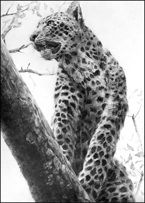 이미지드로잉(사고의전환)