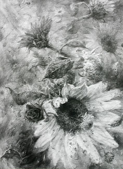 서울대평면조형 합격생작